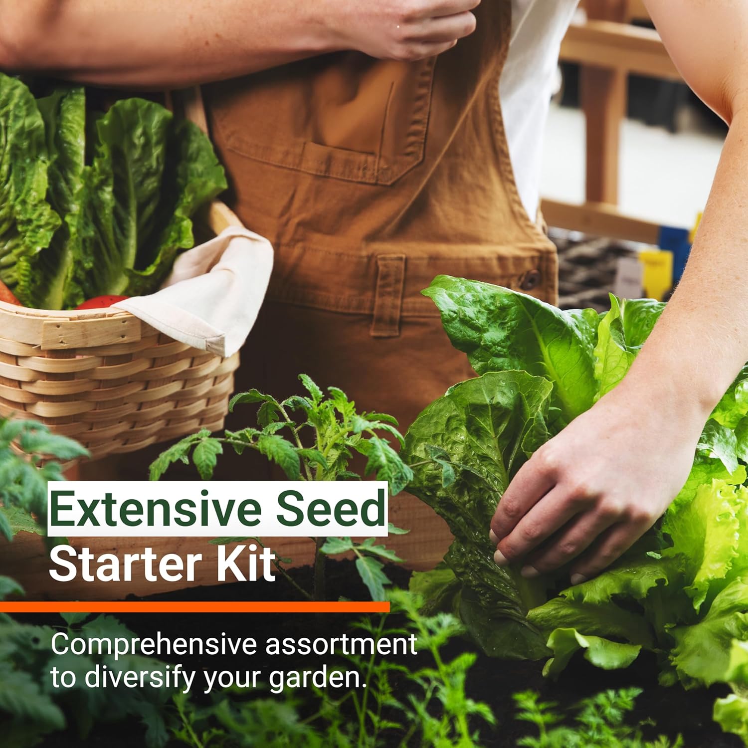 Spring Garden Starter Kit thumbnail 2