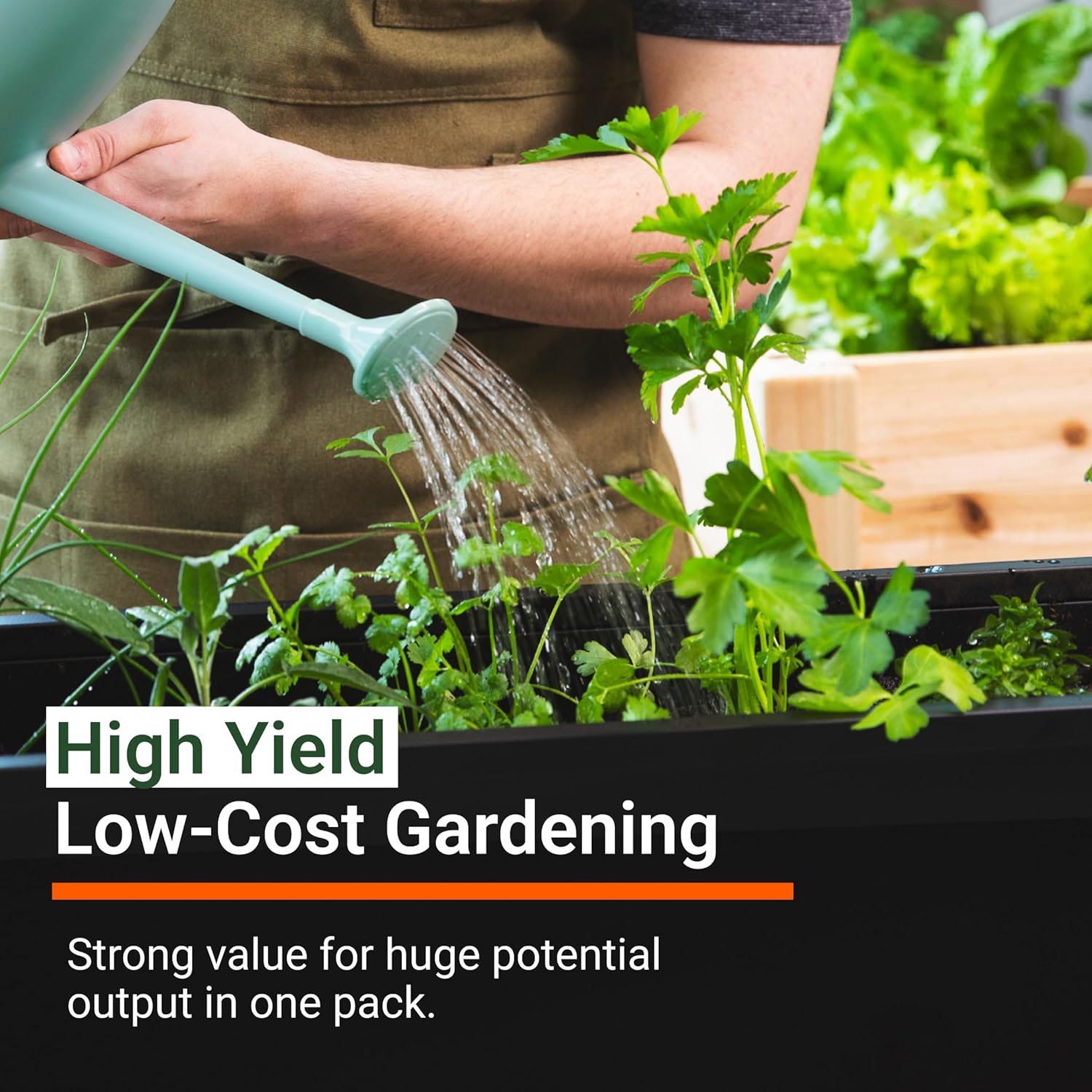 Spring Garden Starter Kit thumbnail 4