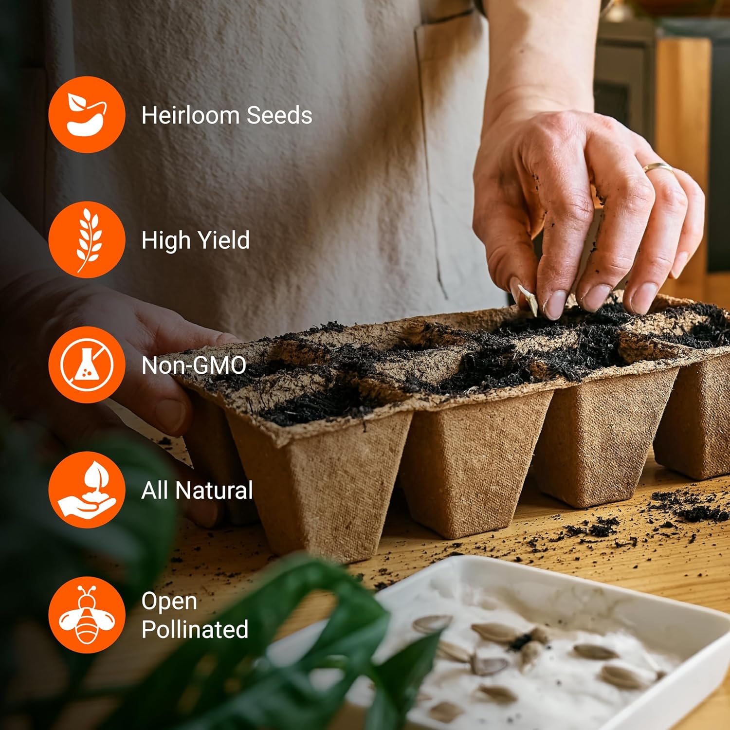 Spring Garden Starter Kit thumbnail 5