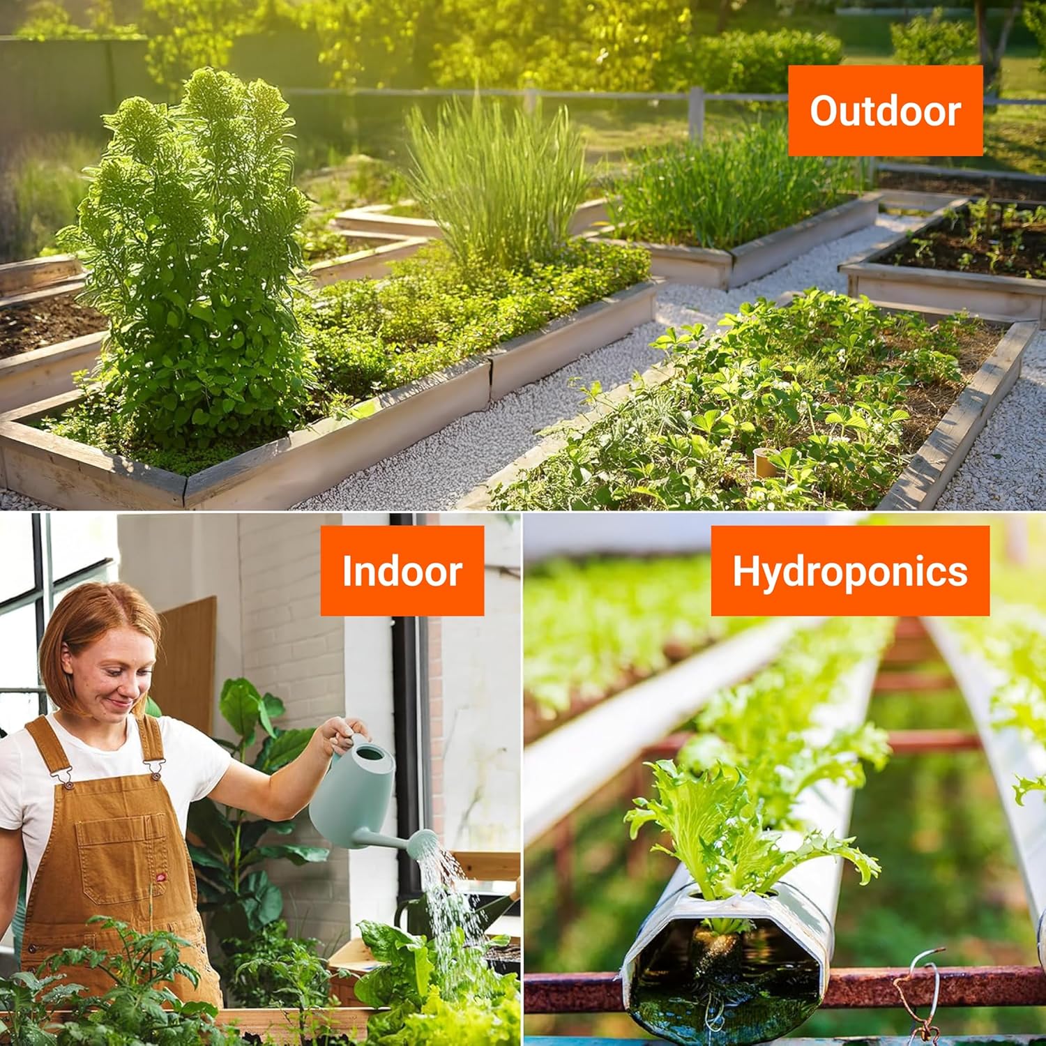 Spring Garden Starter Kit thumbnail 6